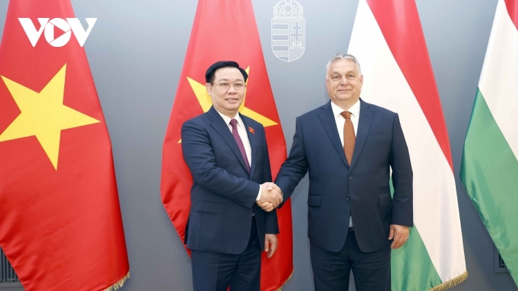 Vietnam, Hungary prioritise future cooperation areas
